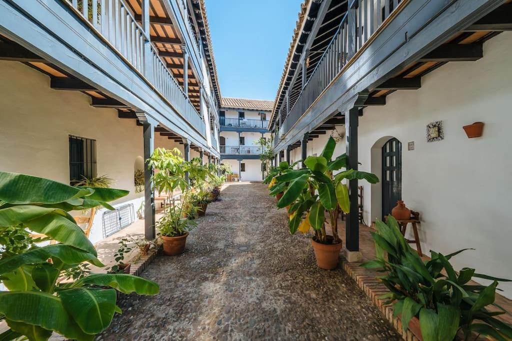 New Apartment In Traditional Building Of The XVI Century 塞维利亚 外观 照片