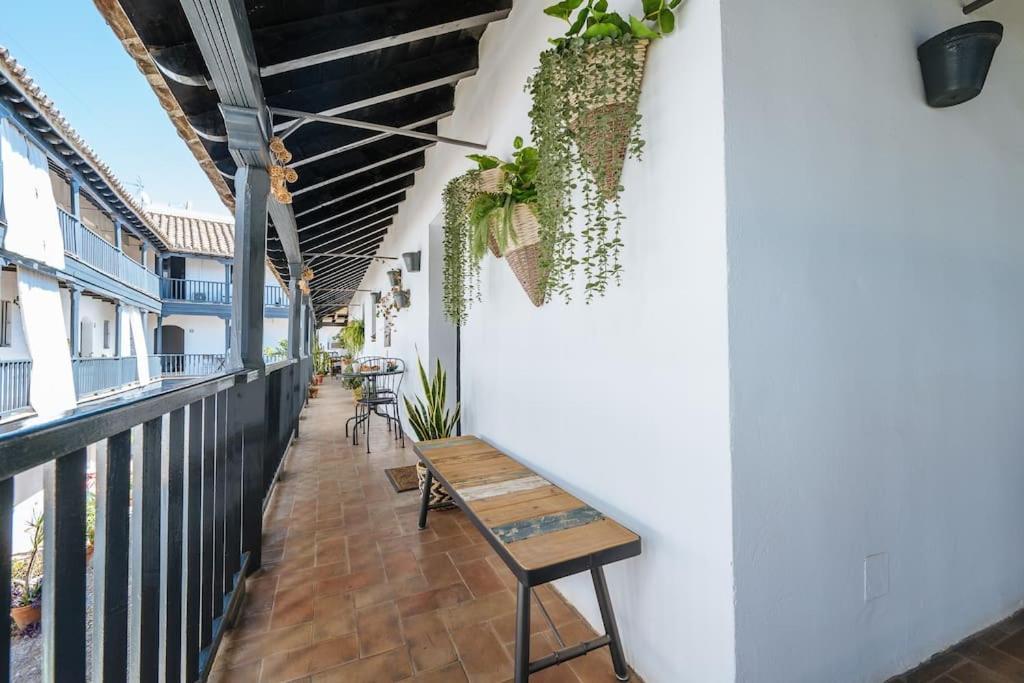 New Apartment In Traditional Building Of The XVI Century 塞维利亚 外观 照片